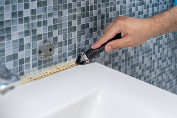 Best Mold Testing  in Grants Pass, OR
