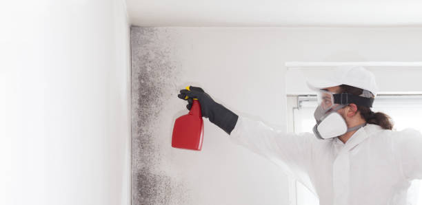 Best Crawl Space Mold Removal  in Grants Pass, OR